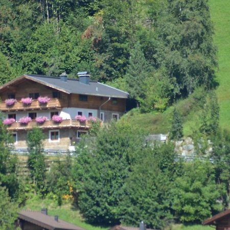 Ferienhaus Rieder Wald im Pinzgau Esterno foto